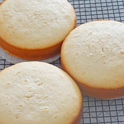Homemade Vanilla Cake